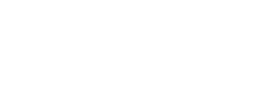 Auto Electric